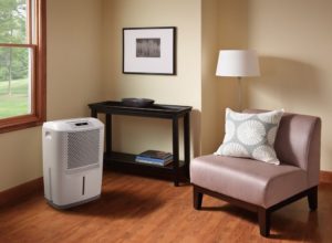 Dehumidifier for your NJ Home