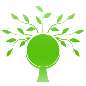 BioFuel | Alternative Fuels | Renewable Energy Sources