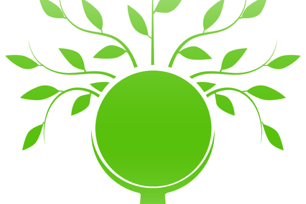 BioFuel | Alternative Fuels | Renewable Energy Sources