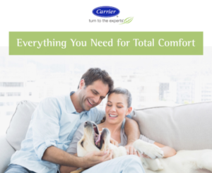 Carrier Heating and Cooling Consultation