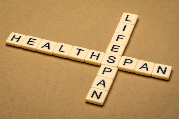 lifespan healthspan crossword depicting heating system