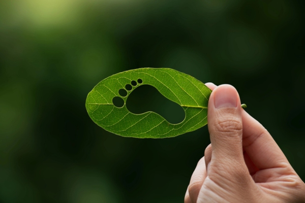 image of a hand holding a leaf with a cutout of a foot depicting carbon footprint