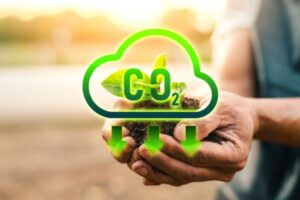 Reduce CO2 emission icon with a man's hands holding soil with sprout