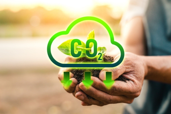 Reduce CO2 emission icon with a man's hands holding soil with sprout